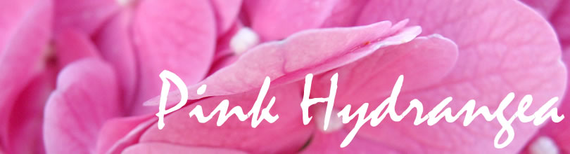 pink hydrangea header